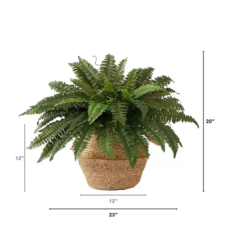 Clearance Boston Fern Arrangement in Brown Basket DIY Kit Arrangements & Greenery