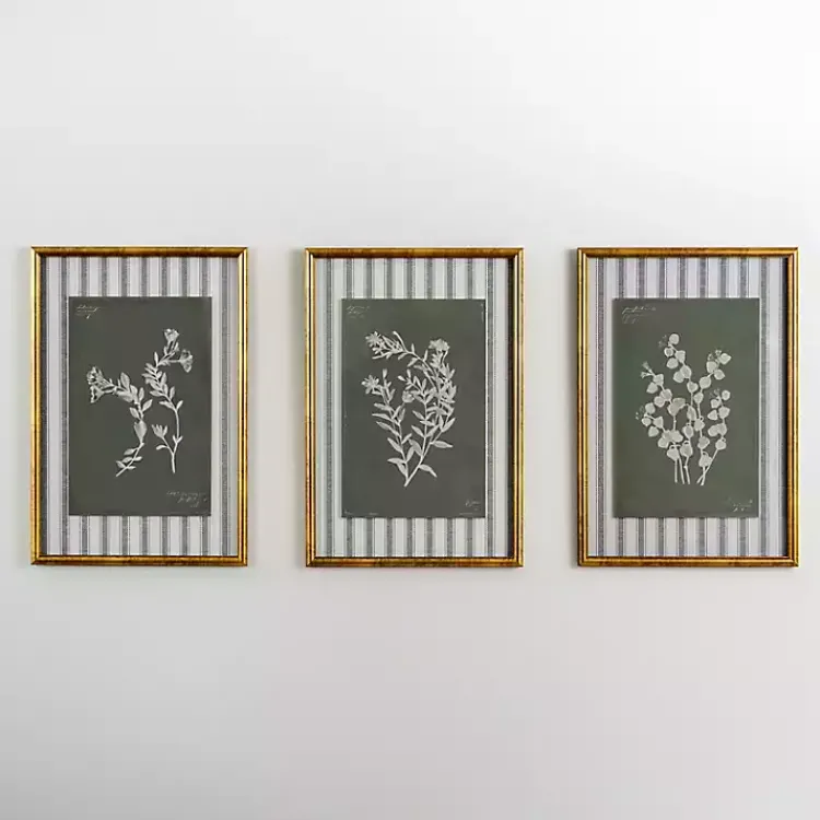 Kirklands Home Framed Art|Botanical Stripes III Framed Art Print