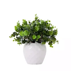 Clearance Boxwood Arrangement in White Planter Arrangements & Greenery