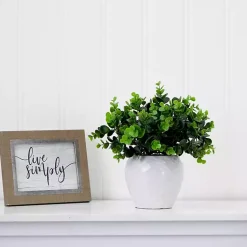 Clearance Boxwood Arrangement in White Planter Arrangements & Greenery