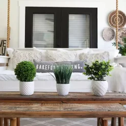 Clearance Boxwood Arrangement in White Planter Arrangements & Greenery