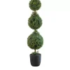 Clearance Boxwood Triple Topiary in Decorative Black Pot Trees & Topiaries