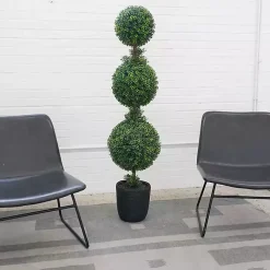 Clearance Boxwood Triple Topiary in Decorative Black Pot Trees & Topiaries