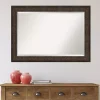 Kirklands Home Decorative Mirrors|Bronze Panel Frame Beveled Mirror