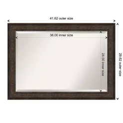 Kirklands Home Decorative Mirrors|Bronze Panel Frame Beveled Mirror