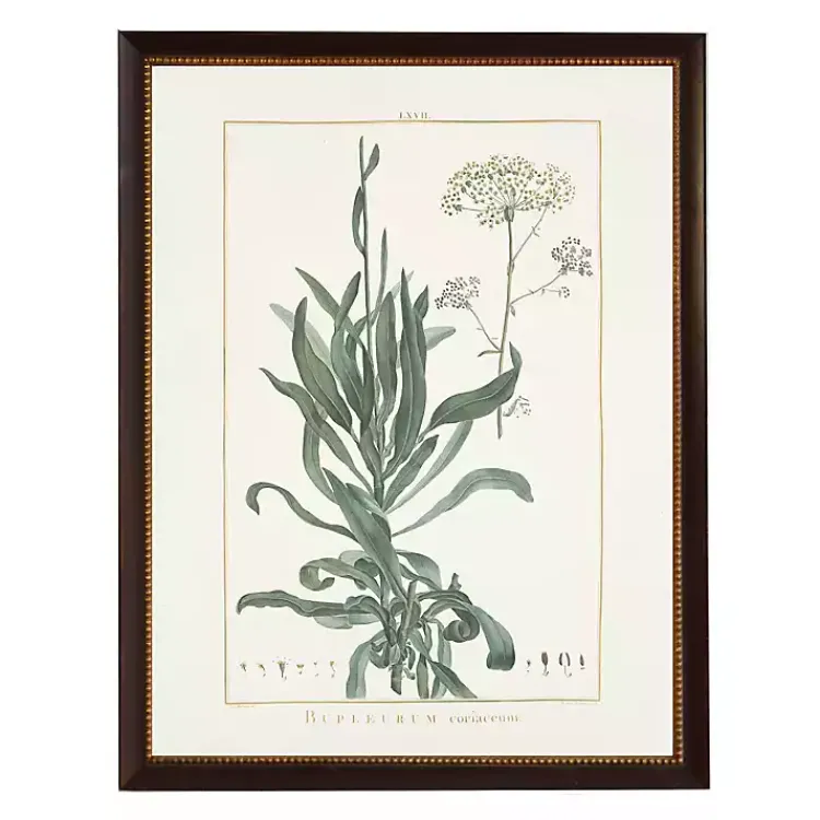 Kirklands Home Framed Art|Bupleurum Greenery Black Beaded Framed Art Print