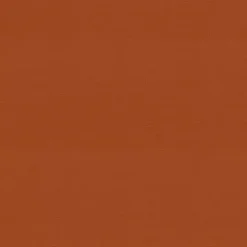 Kirklands Home Outdoor Cushions & Pillows|Burnt Outdoor Chaise Cushion Orange