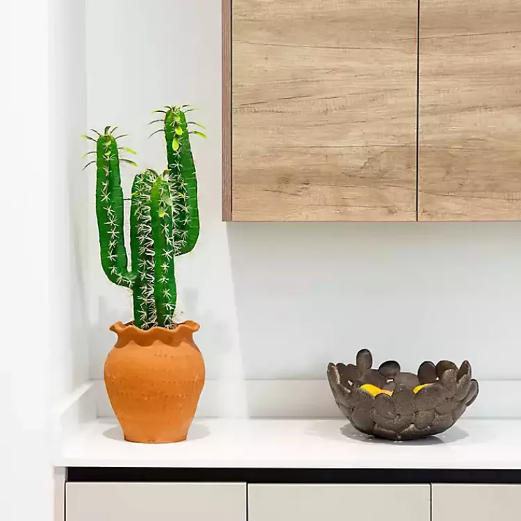 Cactus in Terracotta Planter Arrangements & Greenery