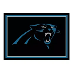 Kirklands Home Area Rugs|Carolina Panthers Area Rug, 4x6 Black