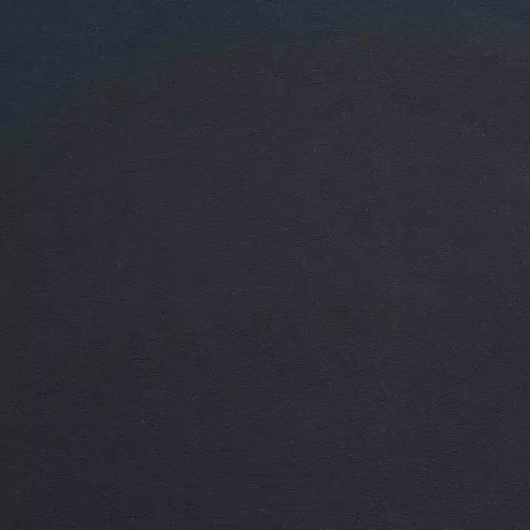 Kirklands Home Curtains & Drapes|Charcoal Alpine Blackout Curtain Panel, 108 in. Gray