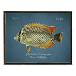 Kirklands Home Framed Art|Chevron Butterflyfish Framed Wall Art Blue