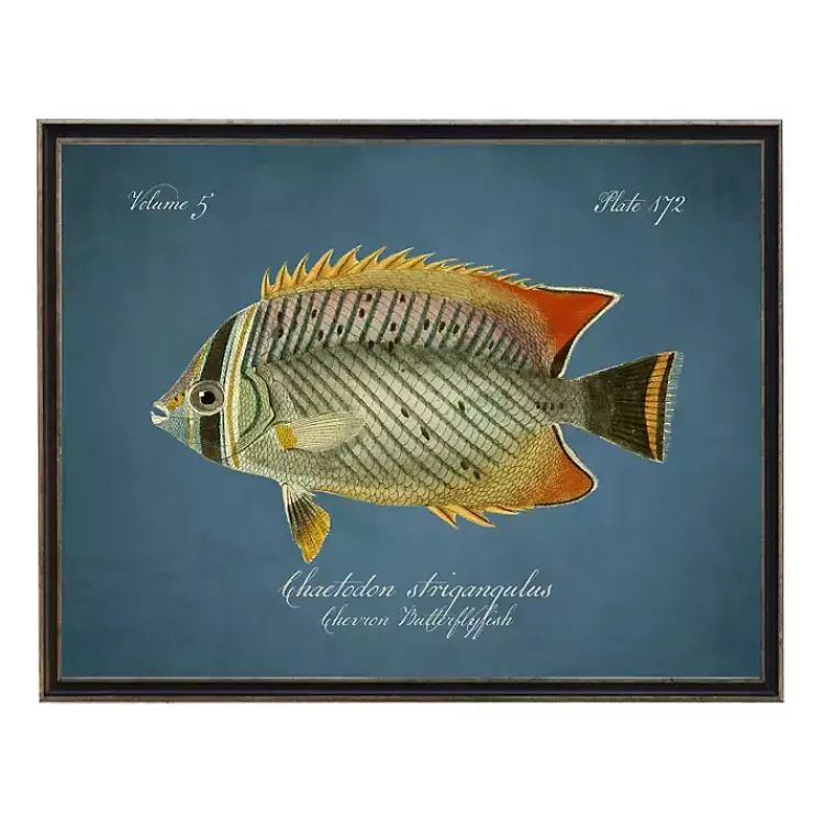 Kirklands Home Framed Art|Chevron Butterflyfish Framed Wall Art Blue