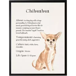Kirklands Home Wall Quotes & Signs|Chihuahua Facts Framed Wall Plaque
