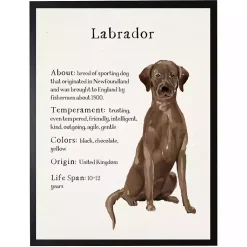 Kirklands Home Wall Quotes & Signs|Chocolate Labrador Facts Framed Wall Plaque