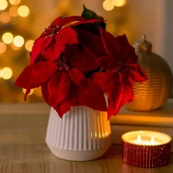 Christmas Poinsettia Arrangement Arrangements & Greenery