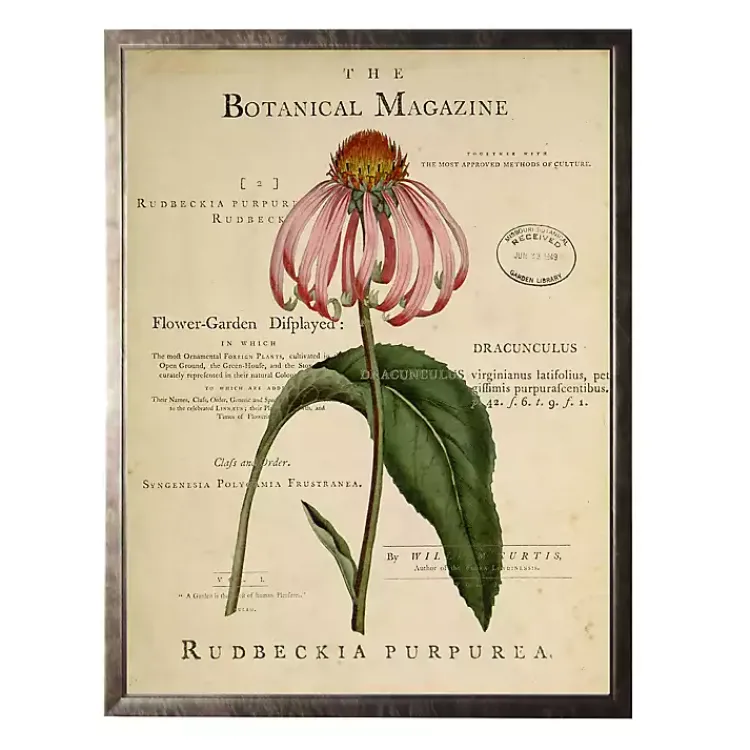 Kirklands Home Framed Art|Coneflower Botanical Magazine Framed Art Print Multi