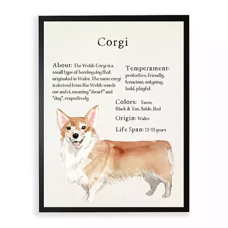 Kirklands Home Wall Quotes & Signs|Corgi Facts Framed Wall Plaque White