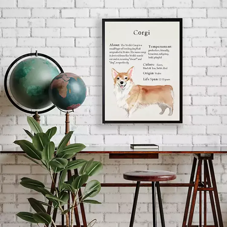 Kirklands Home Wall Quotes & Signs|Corgi Facts Framed Wall Plaque White
