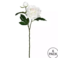 Online Cream Blooming Peony Stems, Set of 6 Stems & Bouquets