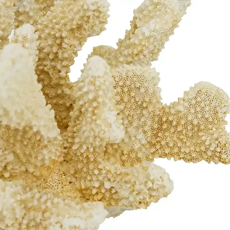 Clearance Cream Coral Resin Statue Statues & Figurines