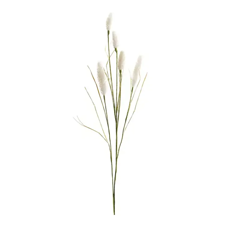 New Cream Foxtail Sprays, Set of 6 Stems & Bouquets