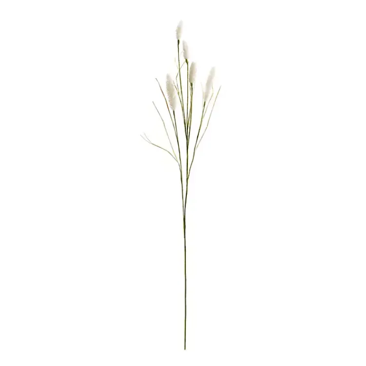 New Cream Foxtail Sprays, Set of 6 Stems & Bouquets
