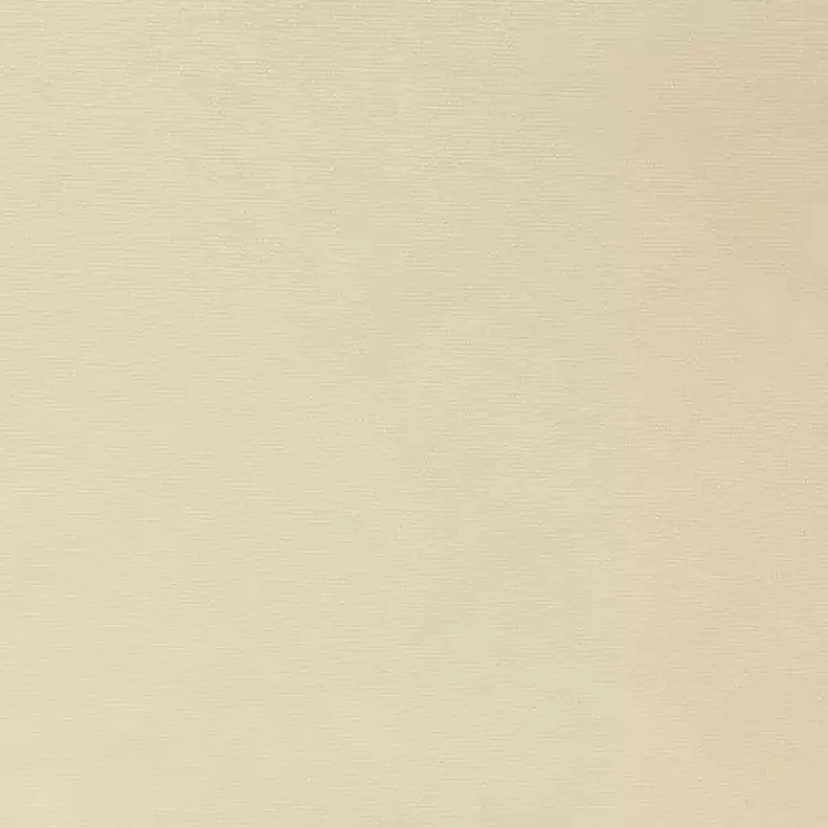 Kirklands Home Curtains & Drapes|Cream Weathermate Blackout Curtain Panel, 63 in. Ivory