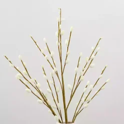Hot Cream Willow Stems, Set of 2 Stems & Bouquets