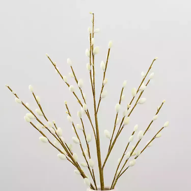 Hot Cream Willow Stems, Set of 2 Stems & Bouquets