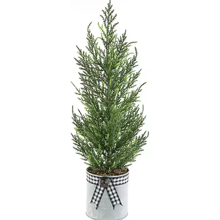 Cypress Mini Potted Christmas Tree Christmas Arrangements & Garland
