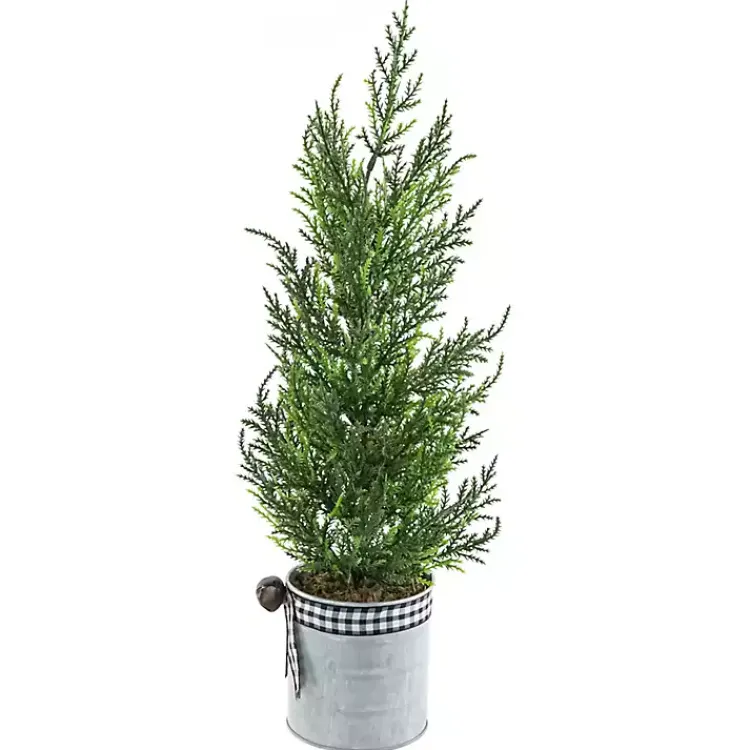 Cypress Mini Potted Christmas Tree Christmas Arrangements & Garland