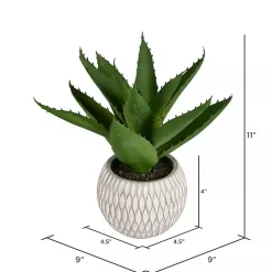 Deep Aloe Leaves in Ceramic Container Arrangements & Greenery