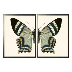 Kirklands Home Framed Art|Diptych Butterfly Framed Art Print, Set of 2