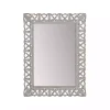 Kirklands Home Decorative Mirrors|Distressed Gray Botanical Rectangle Wall Mirror