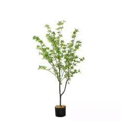 Hot Douban Tree in Black Pot, 5 ft. Trees & Topiaries