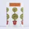 Outlet English Ivy Sachet Sachets