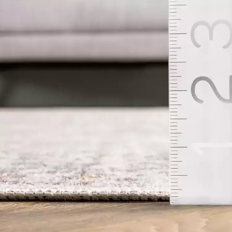 Kirklands Home Area Rugs|Etta Distressed Vintage Washable Area Rug, 5x8