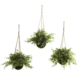 Clearance Eucalyptus and Berry Hanging Baskets, Set of 3 Arrangements & Greenery