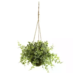 Clearance Eucalyptus and Berry Hanging Baskets, Set of 3 Arrangements & Greenery