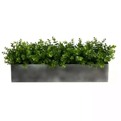 Online Eucalyptus Arrangement in Gray Planter Box Arrangements & Greenery