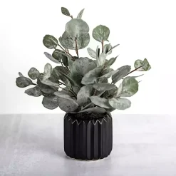 Sale Eucalyptus Arrangement in Black Planter Arrangements & Greenery
