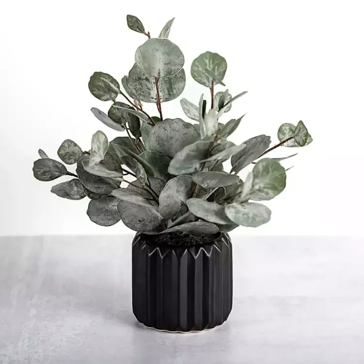 Sale Eucalyptus Arrangement in Black Planter Arrangements & Greenery
