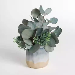 Sale Eucalyptus Arrangement in Ombre Vase Arrangements & Greenery