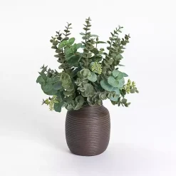 Sale Eucalyptus Arrangement in Chocolate Vase Arrangements & Greenery