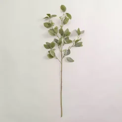Hot Eucalyptus Seeded Spray Stems & Bouquets