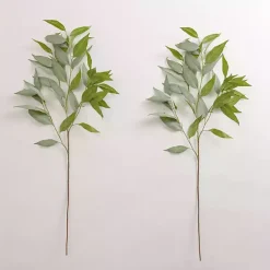Eucalyptus Sprays, Set of 2 Stems & Bouquets