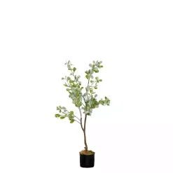 Online Eucalyptus Tree in Black Pot, 4 ft. Trees & Topiaries