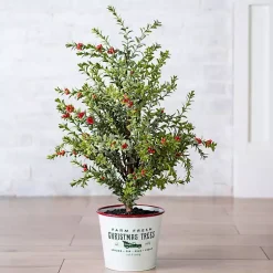 Online Farm Fresh Bucket Christmas Tree, 33 in. Christmas Arrangements & Garland