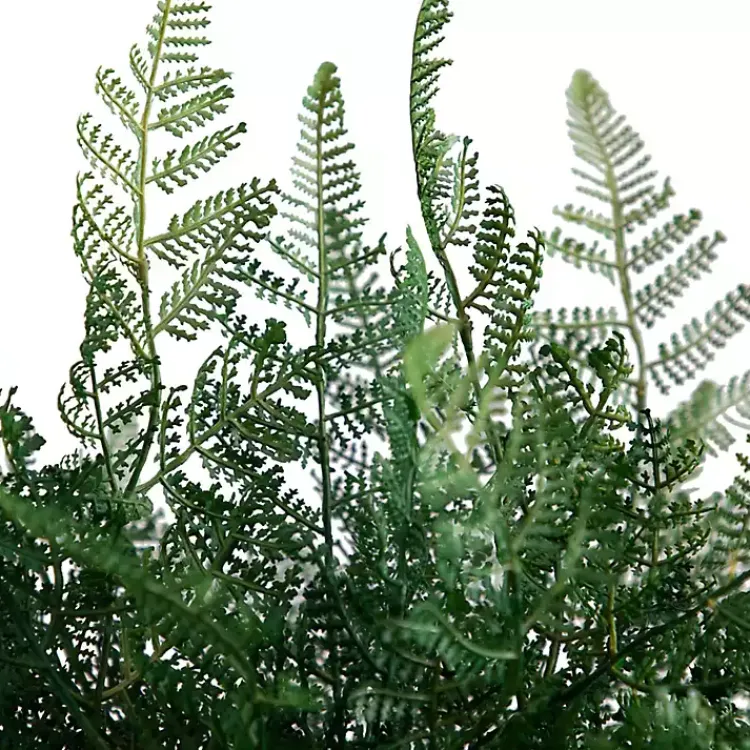 Best Fern Arrangement in Textured Glass Vase Arrangements & Greenery