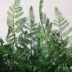 Best Fern Arrangement in Textured Glass Vase Arrangements & Greenery
